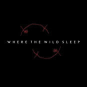 Where the Wild Sleep