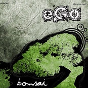 Bonsai