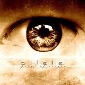 Allele: Point of Origin