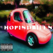 HOPINDIBILEN