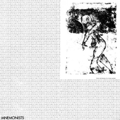 Some Attributes of a Living System