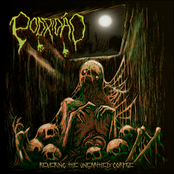 Revering the Unearthed Corpse (320)