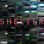Shelter