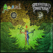 Aarni / Persistence in Mourning