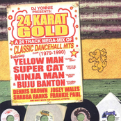 24K Gold Dancehall Megamix