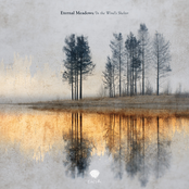 In the Wind's Shelter