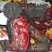 Dismembering Chainsaw Session