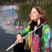 Andrea Brachfeld: Lotus Blossom