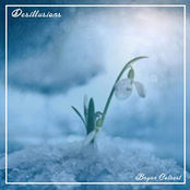 Desillusions - Single