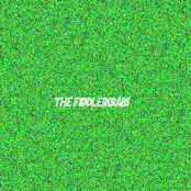 The Fiddlercrabs