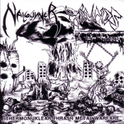 Thermonuklear Thrash Metal Warfare