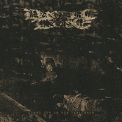 Gored Out of the Influence