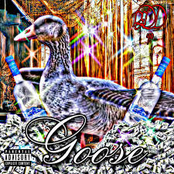 GOOSE