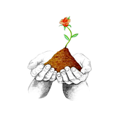 Growth