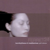 Burnt By The Sun/Luddite Clone