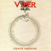 viper brazil