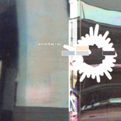 Dream Curtain Eternally Gentle