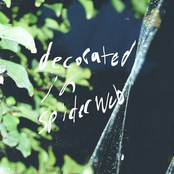 Decorated in spiderweb