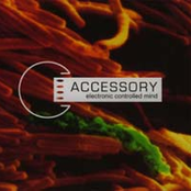Accessory by Accessory