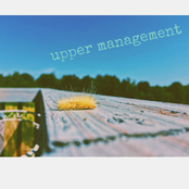 upper management