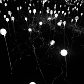 Weed For The Innocence