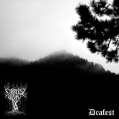 Starless Night Deafest Split