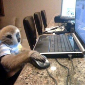 Teenage Dirtbag - Single