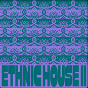 Ethnic House Vol.2
