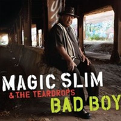 Champagne And Reefer by Magic Slim And The Teardrops