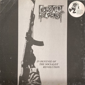 In Defense of the Socialist Revolution