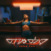 כולם מזיזים