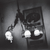 Blue Orchids by Sun Kil Moon