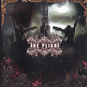 Plight: The Plight