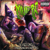 Pachanga Pornholocaustica