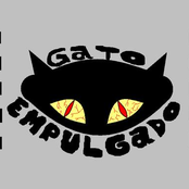 gato empulgado