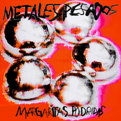Metales Pesados
