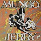 Baby Let's Play House by Mungo Jerry