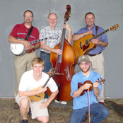 falling run bluegrass band