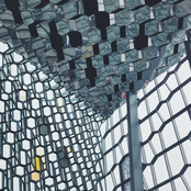 Wants To Try Something