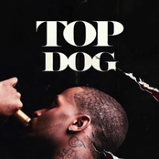 TOP DOG