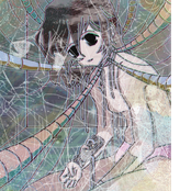 Don't Trust the Wired