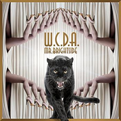 Mr. Brightside (House Mix)