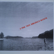 A Pine Tree Shilling's Worth of Willie Lane