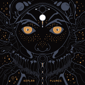 Plumes