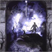 The Night Sculptures