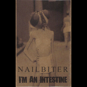 Nailbiter/I'm An Intestine Split