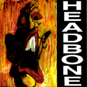 headbone