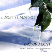 Diamond Dust (New Flamenco Instrumental)