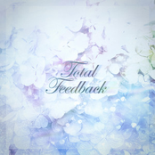 Total Feedback 2024