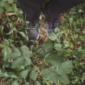 I Made These Songs Before I Moved